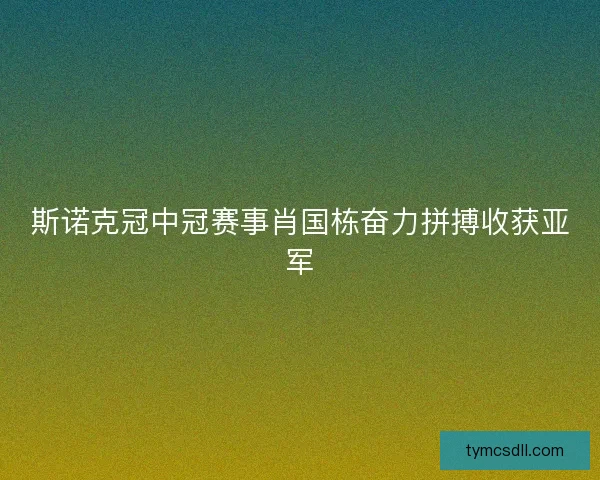 斯诺克冠中冠赛事肖国栋奋力拼搏收获亚军 斯诺克冠中冠赛事肖国栋奋力拼搏收获亚军
